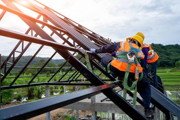 Roof Gutter Cleaning in Rochester, PA