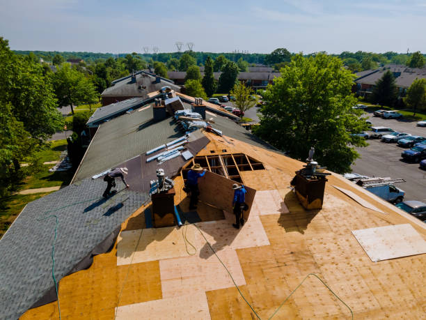 Quick and Trustworthy Emergency Roof Repair Services in Rochester, PA